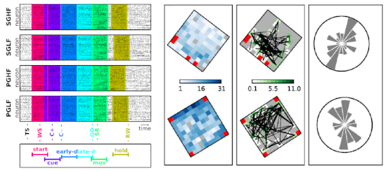 Use Case 6 - Multi-Scale Multi-Area Interaction in Cortical Networks